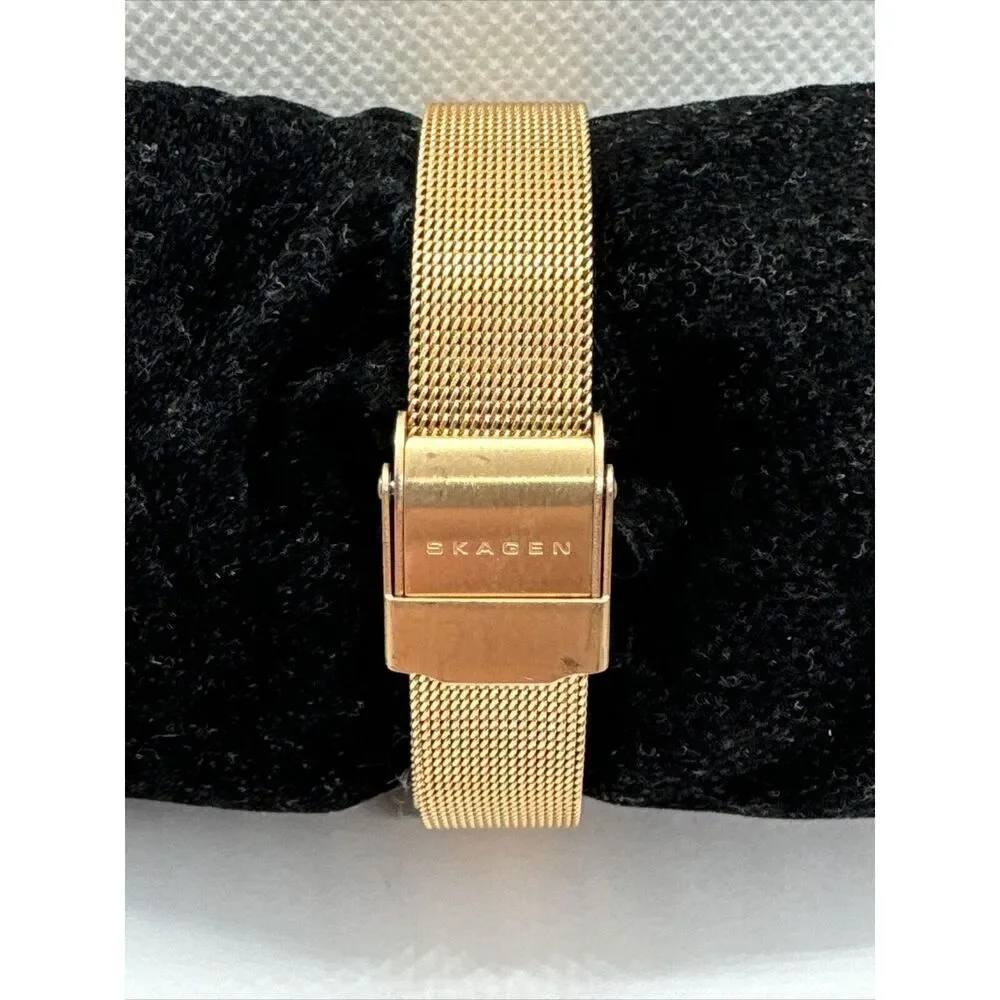 Skagen Ancher SKW2197 Women Stainless Steel Mesh Analog Dial Quartz Watch AEA012